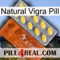 Natural Vigra Pill 42